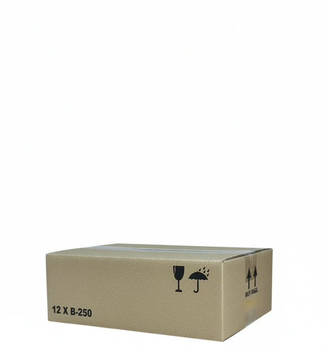 Tarro B250 Caixa de papelão (12 UNDs). 291 x 218 x 94 mm