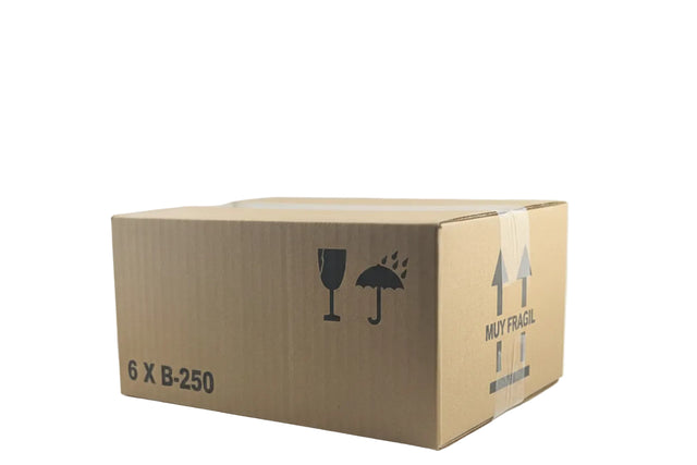 📦 Caja de Cartón para 6 Tarros de Cristal B250 | Pack de 20 Unidades